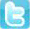 twitter link